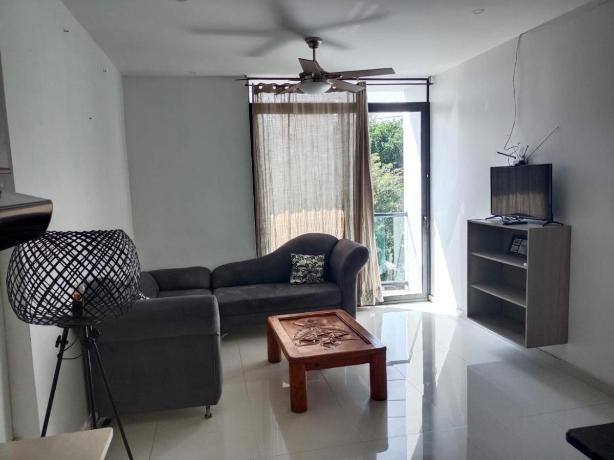 Aqua Vista By La Cultura Suites ปลายาเดลการ์เมน ภายนอก รูปภาพ